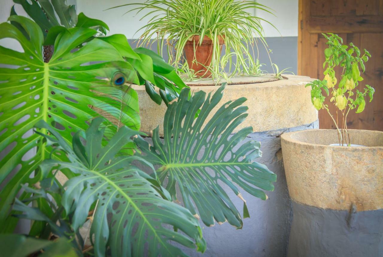 Sa Fita Backpackers - Albergue Juvenil Esporles Exterior foto