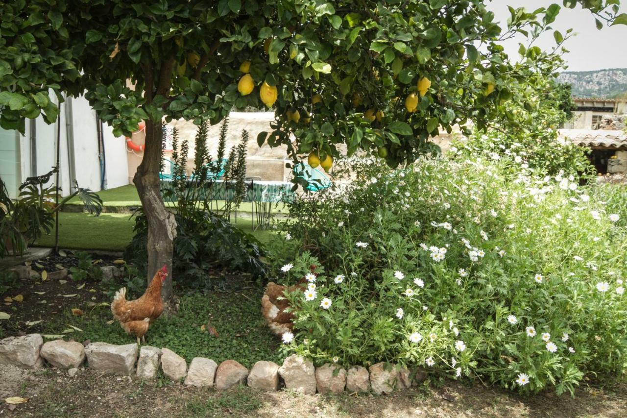 Sa Fita Backpackers - Albergue Juvenil Esporles Exterior foto